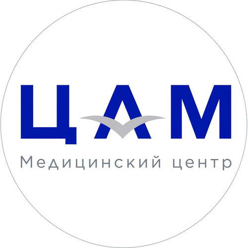 ЦАМ.1