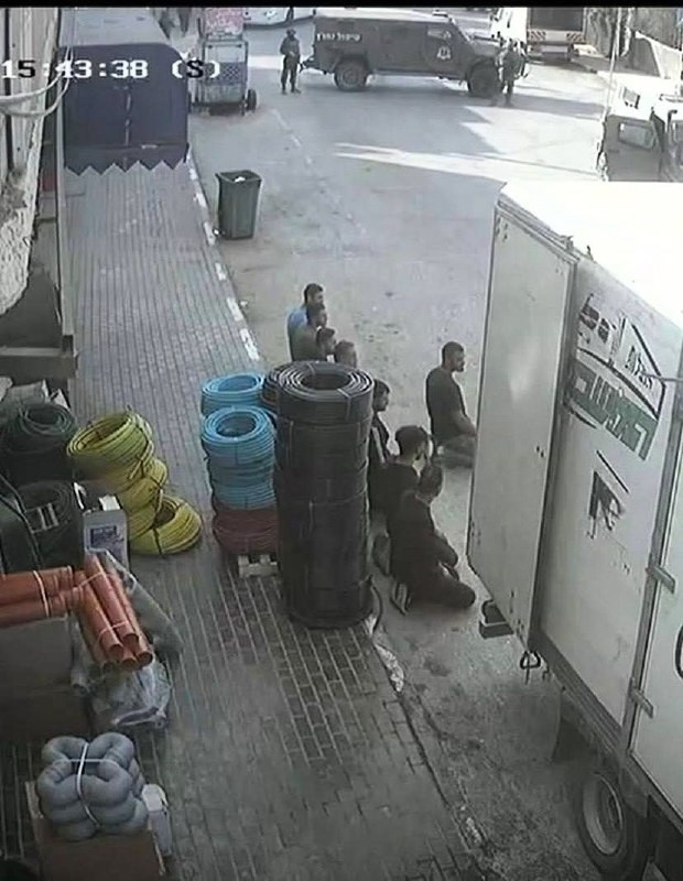 صورة الخبر