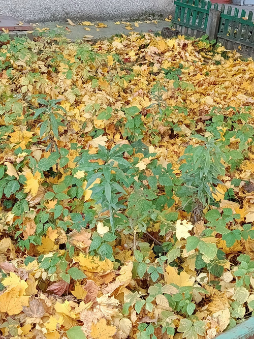 P8hDky3LsbcGjFT klanNzUkDhukgh9QYnQfCPlskwbSdin8Yfw1nZcWEHFeorOSFlTJCxY8zcwO81uoxUfNZg7eA1VXCw.jpg