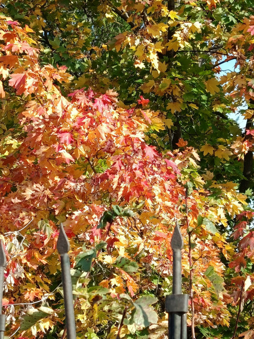 SdSbq48b1ngbIYlWBqyW5FnHAp7NZjW9p7b AMpLWk 1Ye9e8 tLm KbDBzunu8COWzlErF19P0LHmr0ptpFXWa9D2E6yw.jpg