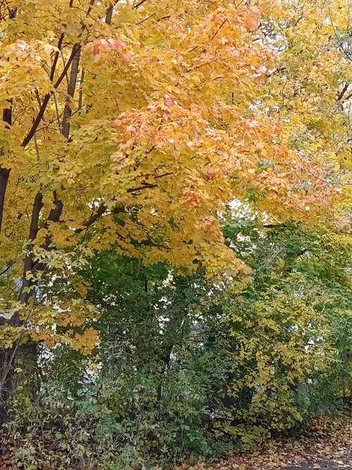 l9tOWMxC8m3osNiyQn6wFoEvgpDK2AuJpTnqcQYG0bs7PUJH3KaFuOhJrRP6k2xOsqCxWSHUP pBCYWqe9rgm9h3ytj 1A.jpg