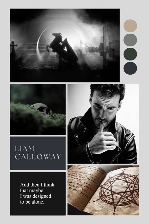 liam moodboard.1