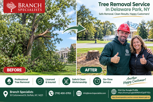 Branch Specialists Tree Removal Transformation.2