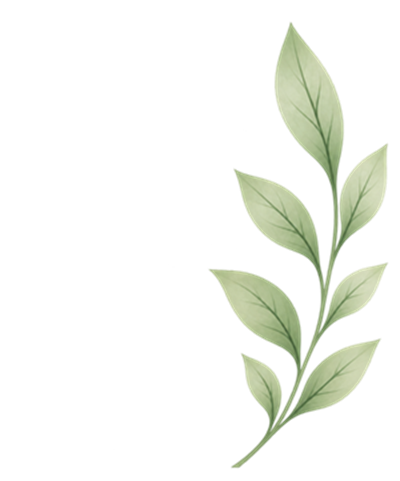 leaves2.2