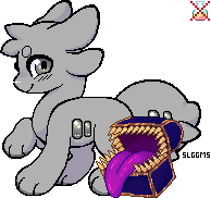 IMG 7881.png