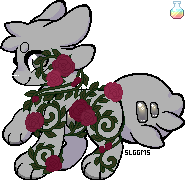 IMG 7880.png