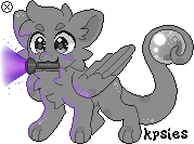IMG 7884.png
