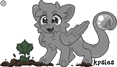 IMG 7846.png