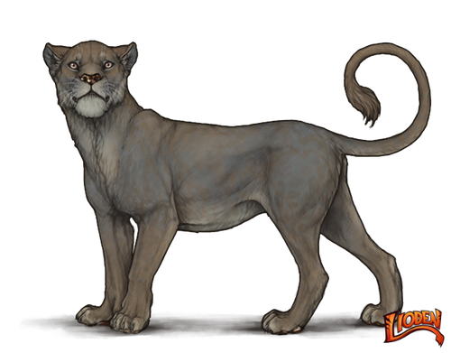 lioden wardrobe (2).png