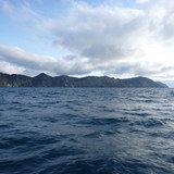b ss181 03 our ocean 44020621533398596163811