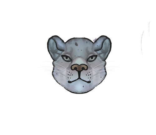 IMG 0145.png