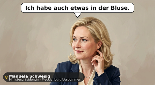 karikatur schwesig.2
