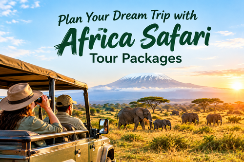 Plan Your Dream Trip with Africa Safari Tour Packages.png