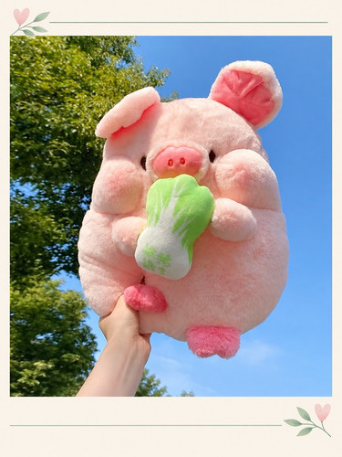 product.jpg
