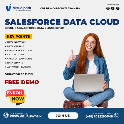 Salesforce Data Cloud Training Hyderabad | Hands-On Projects.jpg
