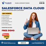 Salesforce Data Cloud Training Hyderabad | Hands-On Projects