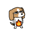 img 1789714328458a007f1e0ly1ifjc6l0bjog203c03ct8r.gif