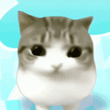 img 1789712728768006z2cm5gy1igt2qw1hs5g306n07b7wh.gif