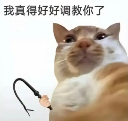 mmexport1789713438182.jpg