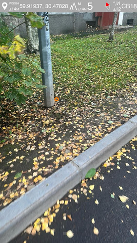 6aad0d8c53b70.jpg