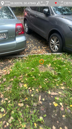 6aad0d917d416.jpg