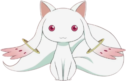 IMG 5171.png