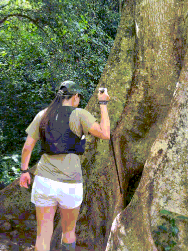 ice 180926 1.gif