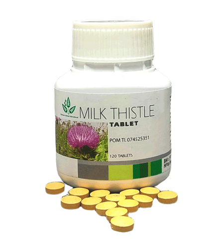 Milk thistle.2