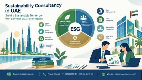 Top Sustainability and ESG Consulting Firm in UAE.jpg