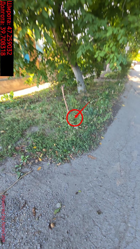 6aad4dbe5f290.jpg
