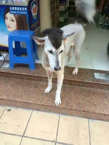 01072 c147ca8959c9b25863050400 01.jpg