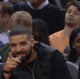drake pointer.gif