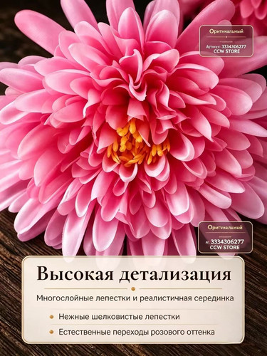52072125877a.jpg