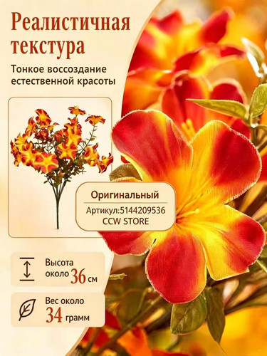 4bf895f94211.jpg