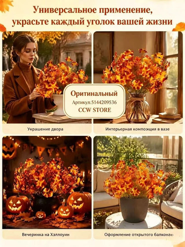 0191551fdfe5.jpg