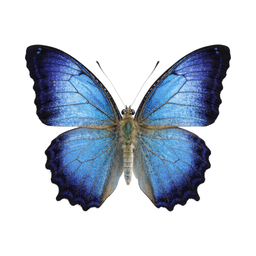 66d9110c5acd.png