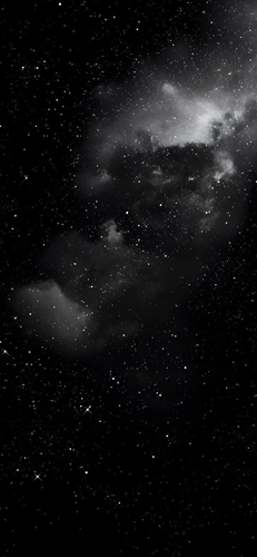 IMG 9753.png
