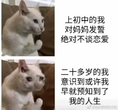 03168 c147ca890b3f5e5f7e580800 08.webp