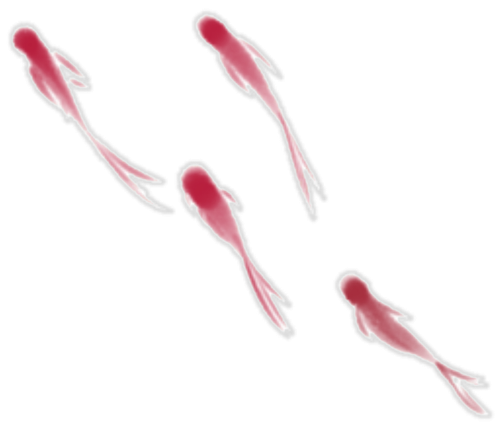 微信图片 20260918225300 469 164.png