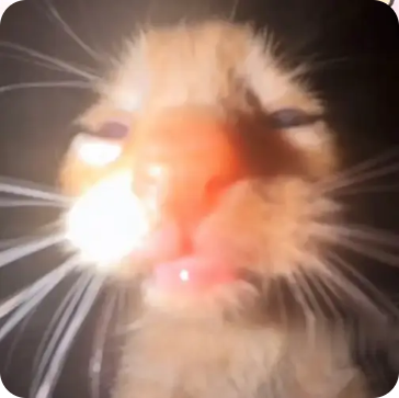 OplusInfoCollection 260918192903296.png