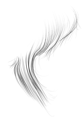 IMG 9261.png