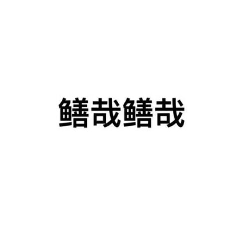 02672 c147ca891a1ce75876d50d00 01.jpg