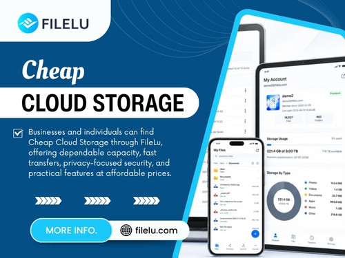 A low price can be tempting when comparing storage plans, especially when several providers appear to offer similar amounts of space. But Cheap Cloud Storage can become less attractive once the finer details of the service enter the picture.

Read Our Blogs:
https://filelucom.medium.com/cloud-storage-services-c7207d32e259
https://filelucom.mystrikingly.com/blog/s3-compatible-object-storage
https://687751027cddb.site123.me/filelu/pay-once-s3-storage

More Links: 
https://allmyfaves.com/filelu
https://disqus.com/by/filelu/about/
https://soundcloud.com/filelu