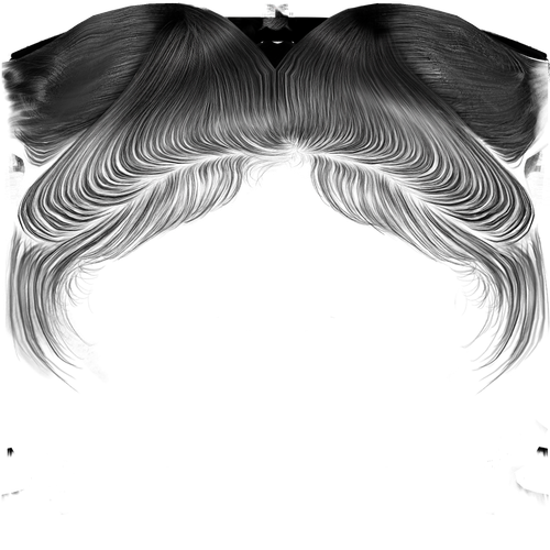 IMG 9262.png