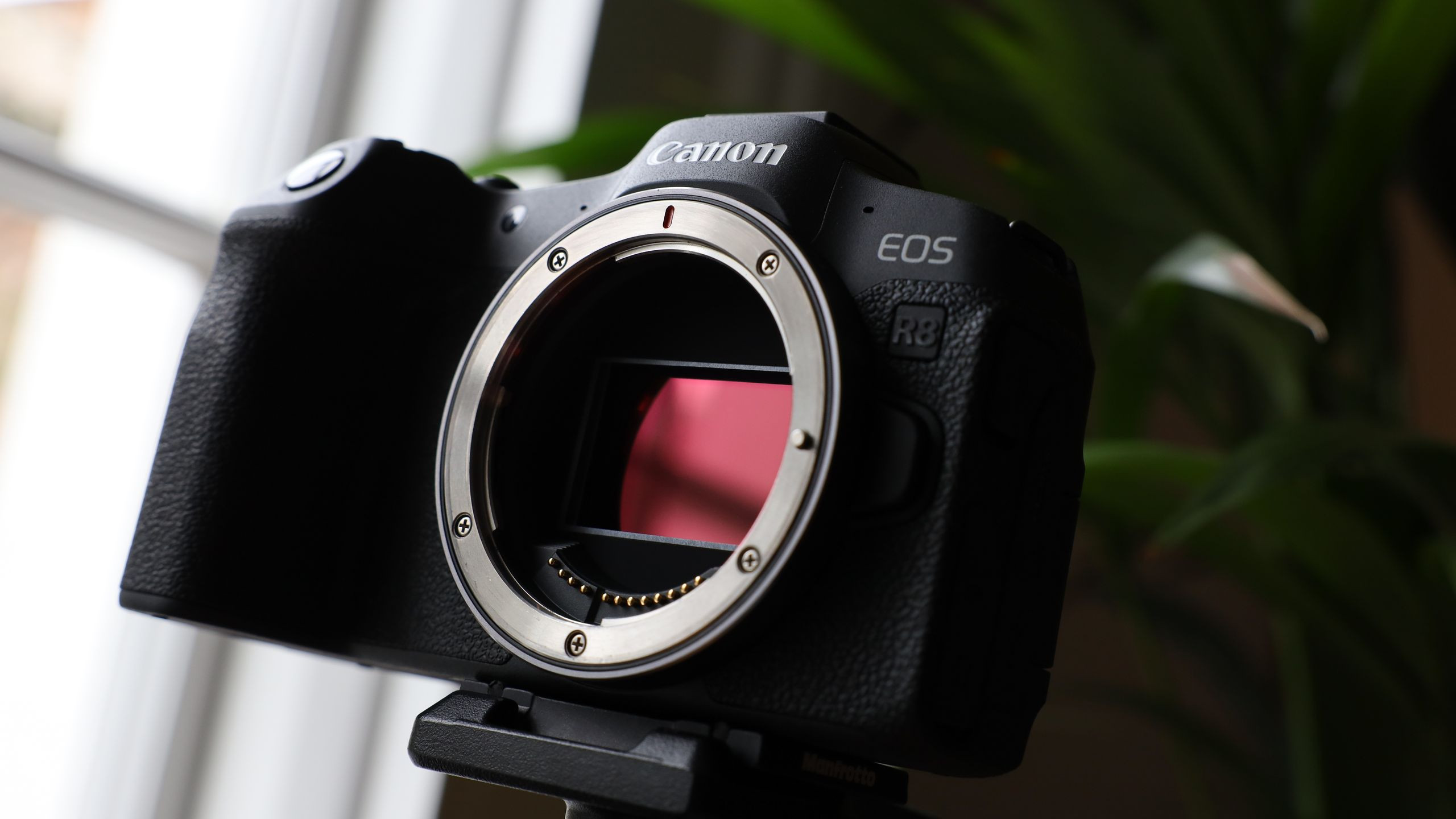 Top Máy Ảnh Full-Frame Giá Tốt: Canon R8 vs Nikon Z6 II vs Sony A7 III