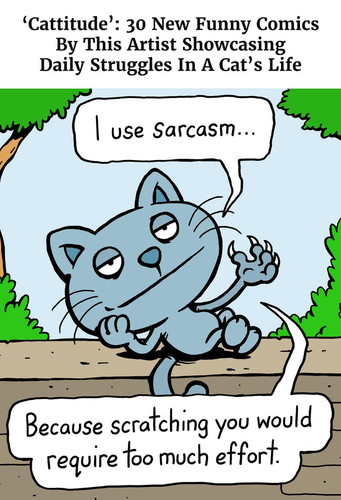 one panel cat comics cattitude anthony smith part 3.jpg