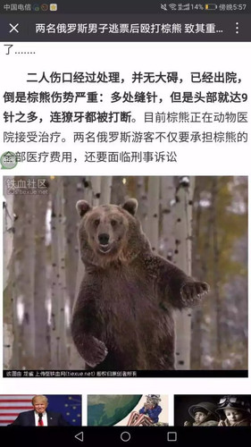 00982 c147ca89ebe38e58fb6f0100 02.jpg