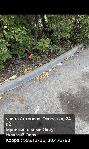 6aad36f0a23b8.jpg