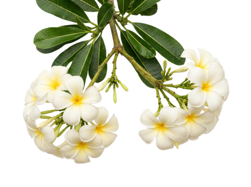 b6073f86be65.png