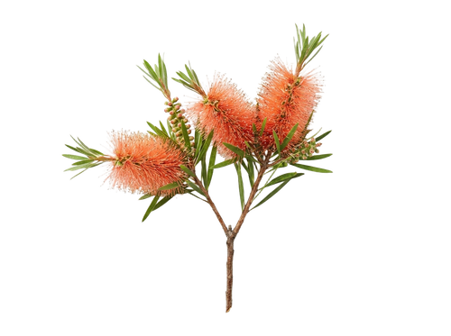 f38d351d47a7.png